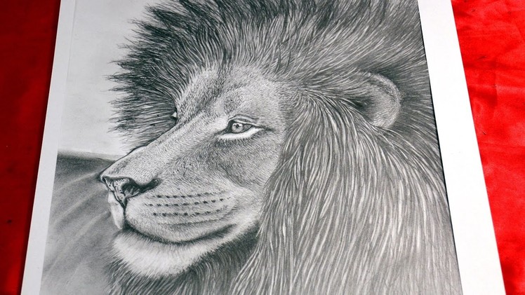 Art Lesson:  How to Draw a Lion with Graphite Pencils