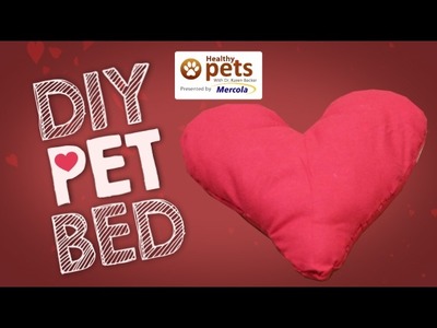 DIY: How to Make a Pet Bed