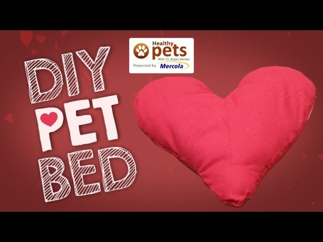 DIY: How to Make a Pet Bed