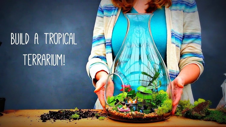 How to Build a Tropical Terrarium