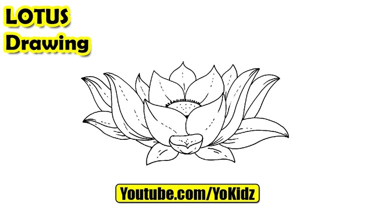 How to draw a lotus flower for kids