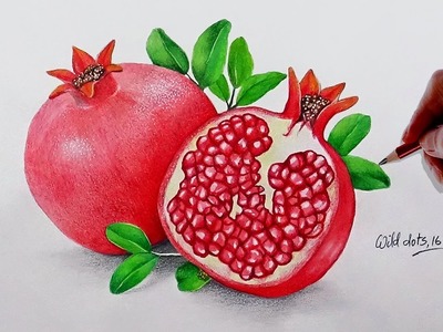 How To Draw A Pomegranate -  Easy And Simple Steps |