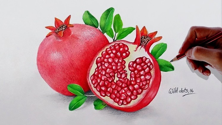 How To Draw A Pomegranate -  Easy And Simple Steps |