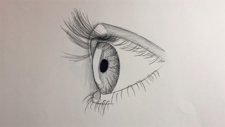 How to draw an eye for beginners (side view) - Alpha Art HD