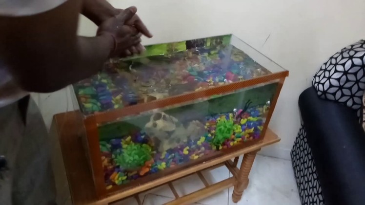 How to make an aquarium at home process do it yourself