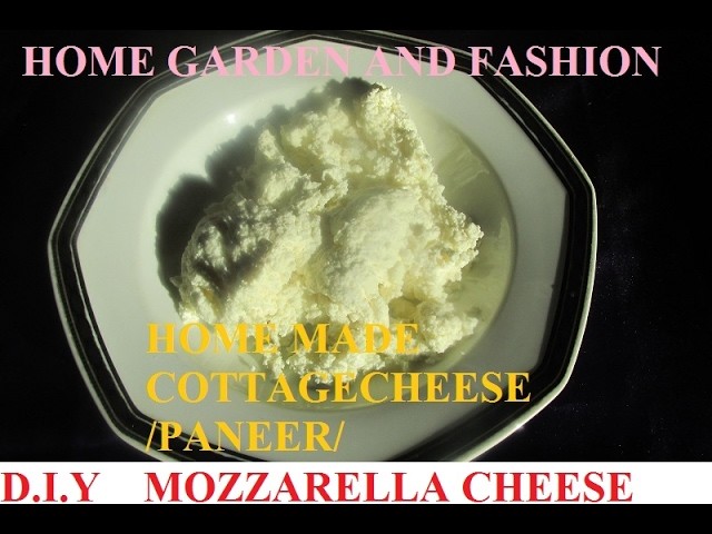 HOW TO MAKE COTTAGE CHEESE.PANEER.MOZZARELLA CHEESE AT HOME EASILY!