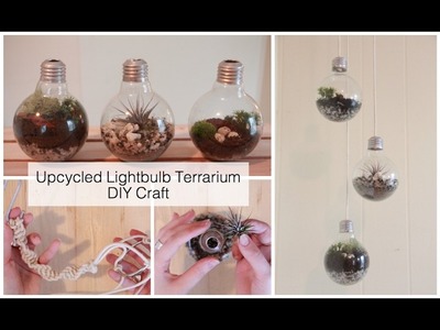 How To Make A Light Bulb Terrarium & Macrame Wall Hanging | DIY Crafts
