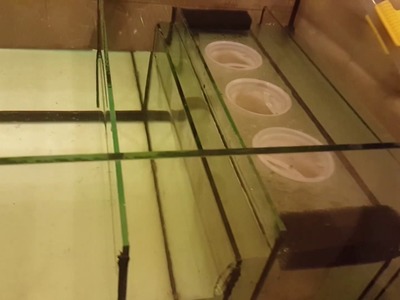 My first DIY 700l aquarium step by step. Part 3 - sump test.