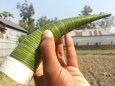 How to make whistle at home with coconut leaf !! Very easy!!