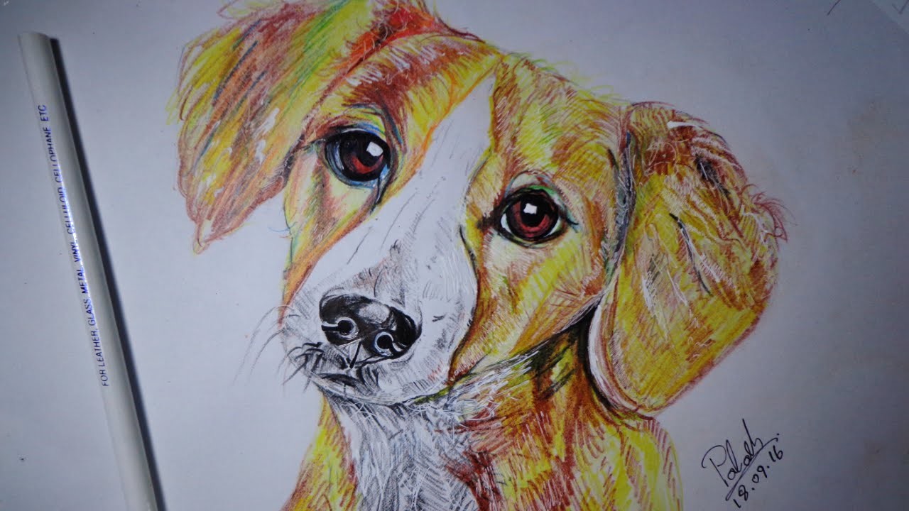 Как рисовать дог дея. Dogdai рисунок. Dog draw. How to draw a Dog. How to draw a Dog's face with a Pencil.