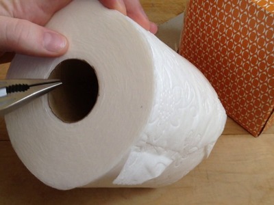 Toilet Paper Tissue Life Hack