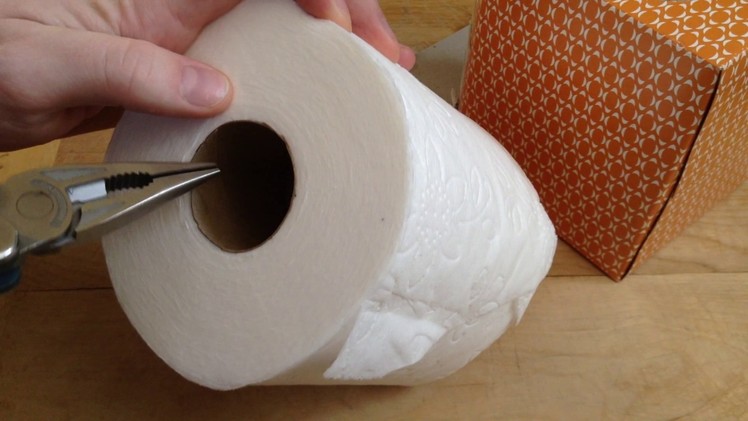 Toilet Paper Tissue Life Hack