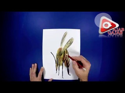 Trick Art on Paper, Painting 3D Bee