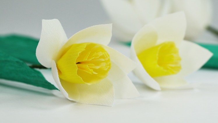 DIY Paper Flowers - White Yellow Crepe Paper Flower Easy Tutorial