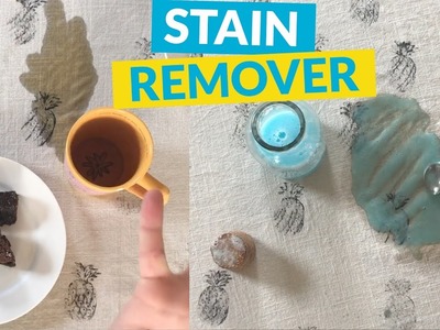 DIY Stain Remover