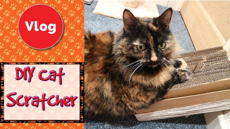 Easy DIY Cardboard Cat Scratcher - Tutorial! DIY Cat Toys! How To Make a Cat Scratcher