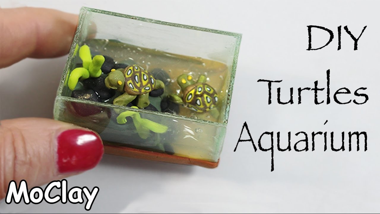 How to make a Miniature Aquarium with turtles.