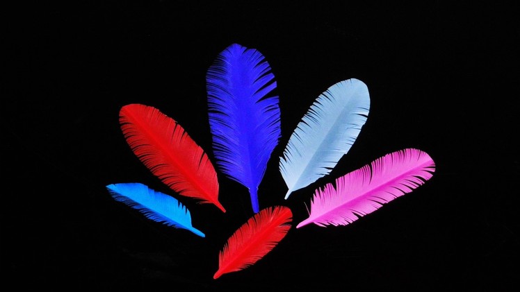 DIY How to Make colorful Paper Feather in - 5 Minutes