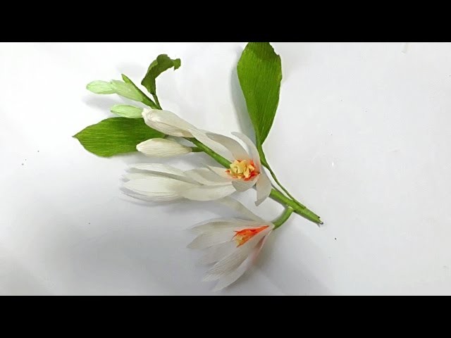 DYI   How to make paper flower - Magnolia champaca - by crepe paper - Làm hoa ngọc lan giấy nhún