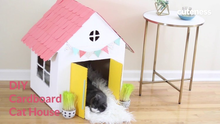 How To Build A Cat House - Cuteness.com