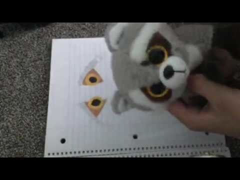 bandit beanie boo