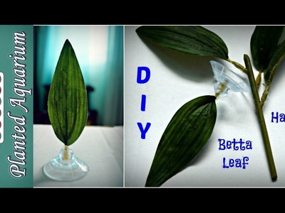 DIY Leaf Hammock for a Betta