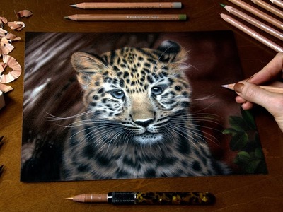 Drawing a Little Leopard - Kanika