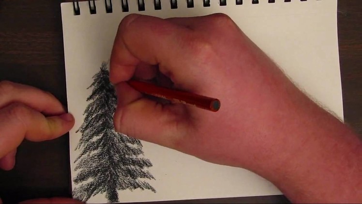 How to Draw a Basic Tree