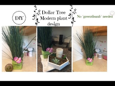 DIY: Clean & Modern  plant display  using Dollar Tree Supplies!