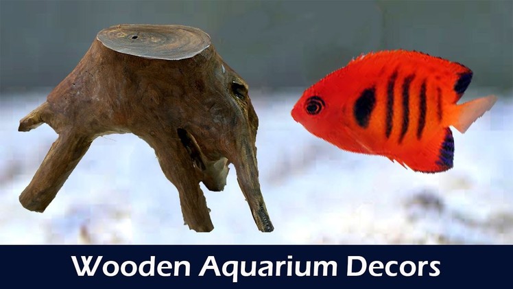 Making Wooden Decor for Aquariums - DIY