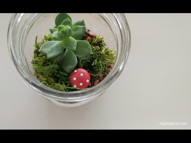 DIY Craft: How to Make a Mason Jar Terrarium with Succulents