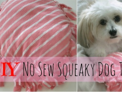 DIY No Sew Squeaky Dog Toy