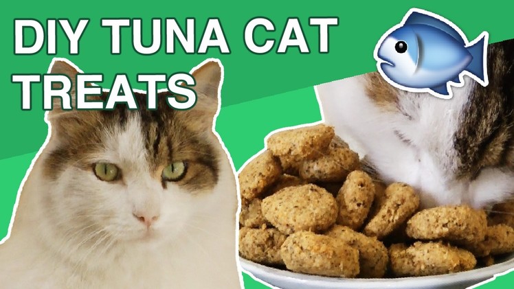 DIY Tuna Cat Treats