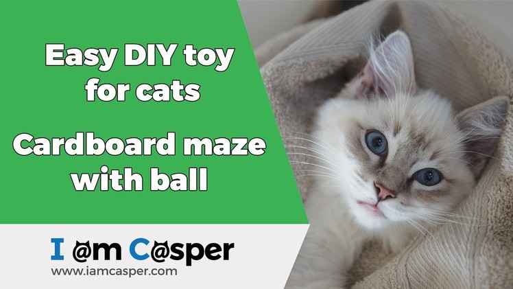 Easy to make DIY toy for cat - play box maze with ball