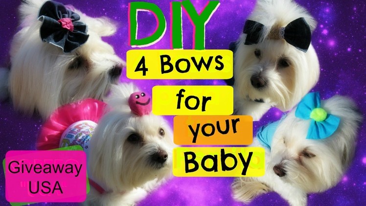 "GIVEAWAY" DIY 4 bows for your dog, Coton de tulear I Lorentix