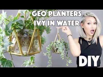 DIY:Geo Planters From Straws!!! +Planting Ivy In Water