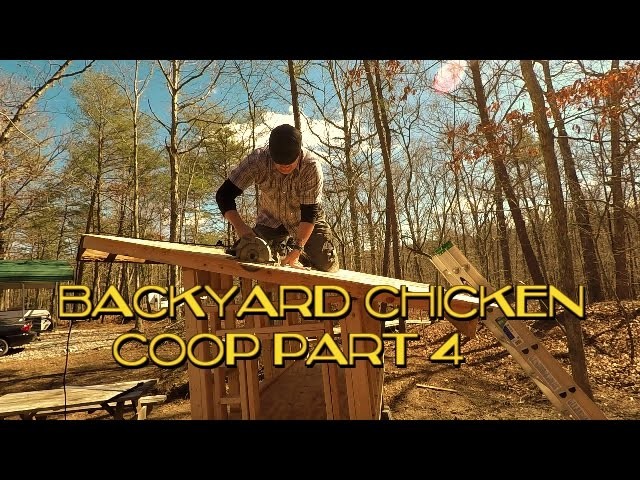DIY Chicken Coop Build, Part 4
