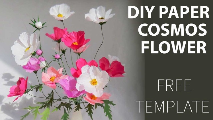 How to DIY paper Cosmos flower, FREE template????