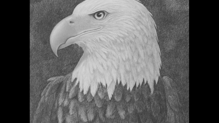How to Draw a Bald Eagle Head With Pencil - Narrated