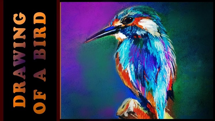 How to draw a simple colorful bird - Not by polychromos pencils.How to Draw a Realistic Bird