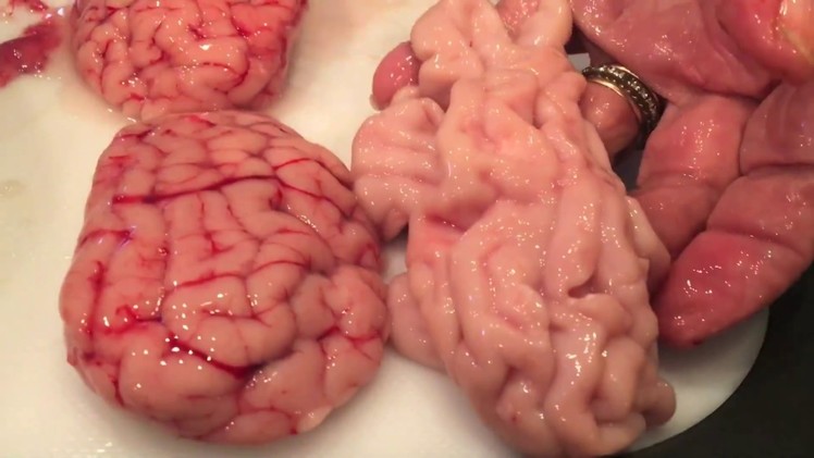 How to make beef brains, Moroccan style