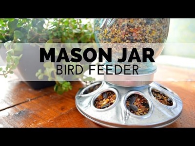 How to Turn a Mason Jar into a Bird Feeder