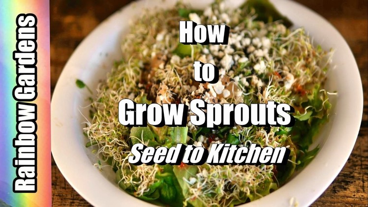 The Easiest Way to Grow Sprouts! How to Grow Sprouts | THE INDOOR GARDEN