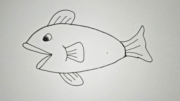 How to Draw Fish Step by Step