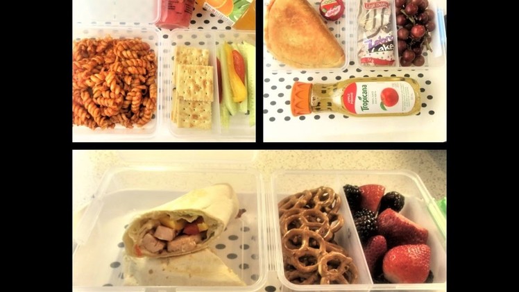 HOW TO MAKE EASY SCHOOL LUNCH 3 DIY