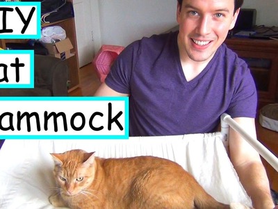 DIY Cat Hammock | No Sew |  EASY + CHEAP