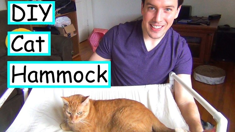 DIY Cat Hammock | No Sew |  EASY + CHEAP