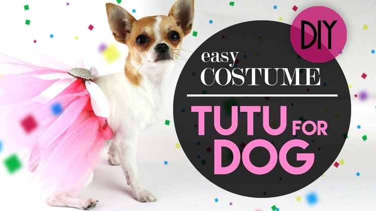 DOG TUTU EASY COSTUME - COSTUME PER CANE TUTU | DIY