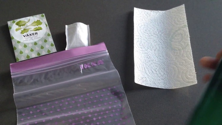 How to germinate seeds with paper towel - Grow seeds FAST and EASY