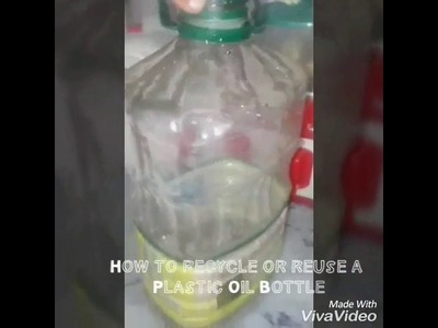 DIY How to grow potato in a Plastic Bottle in various creative ways|planter,medicine,candy box|fabri